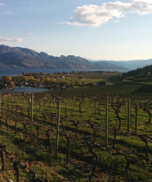 A beautiful view of West Kelowna
