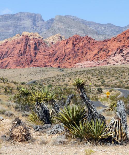 Ein schöner Blick auf Mojave