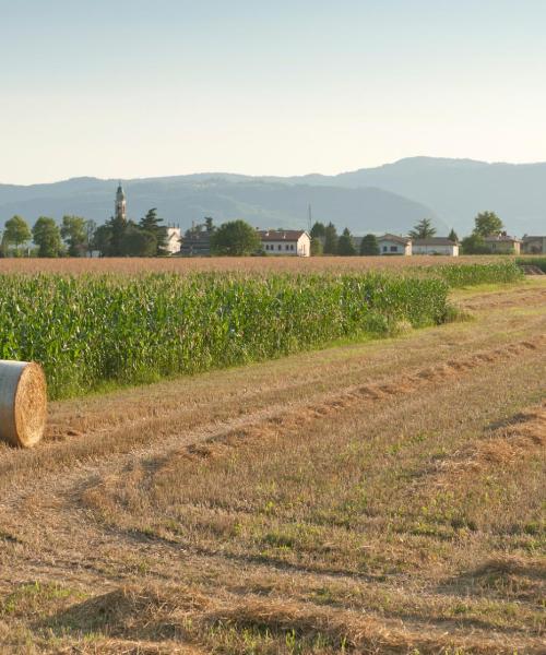 Vue imprenable sur : Thiene