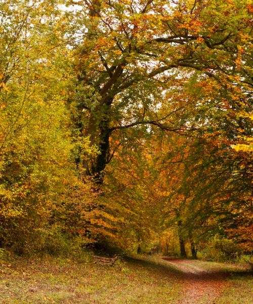 A beautiful view of Southborough
