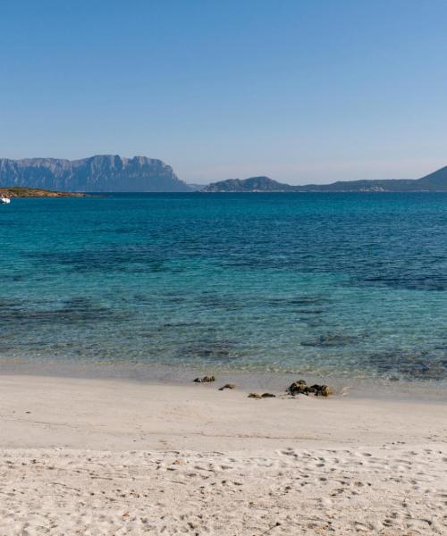 Ein schöner Blick auf La Caletta