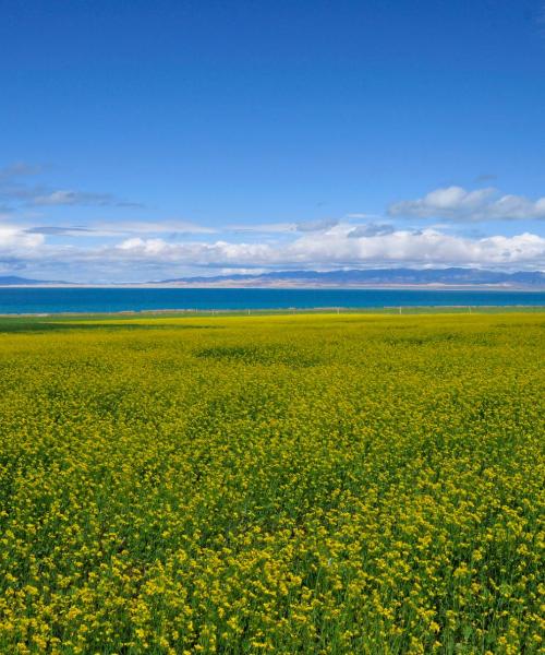 Una panoràmica bonica de Xining