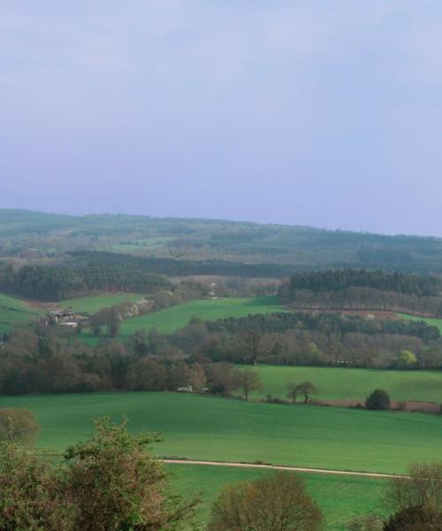 A beautiful view of Worplesdon