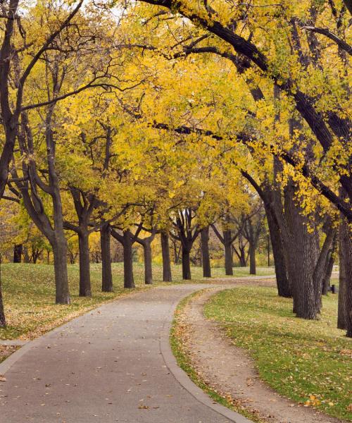 A beautiful view of Brooklyn Park