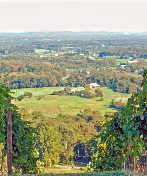 A beautiful view of Purcellville