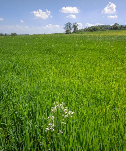Ein schöner Blick auf Zonnebeke