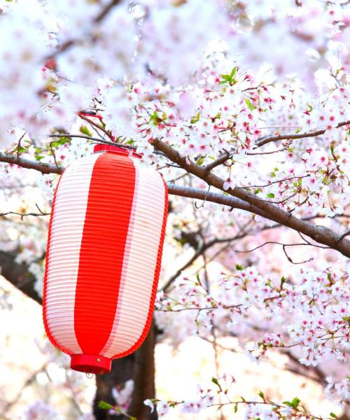 A beautiful view of Sagamihara