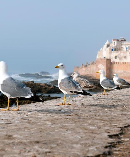 A beautiful view of Laayoune
