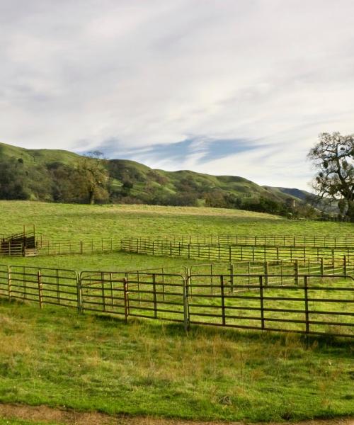 Ein schöner Blick auf Pleasanton