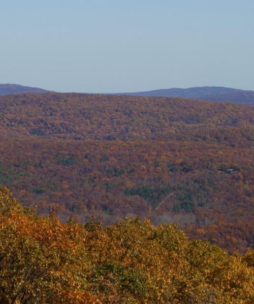 A beautiful view of Ozark