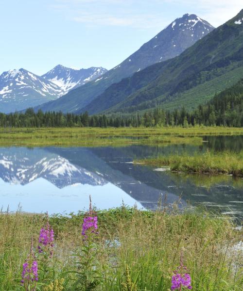 A beautiful view of Soldotna
