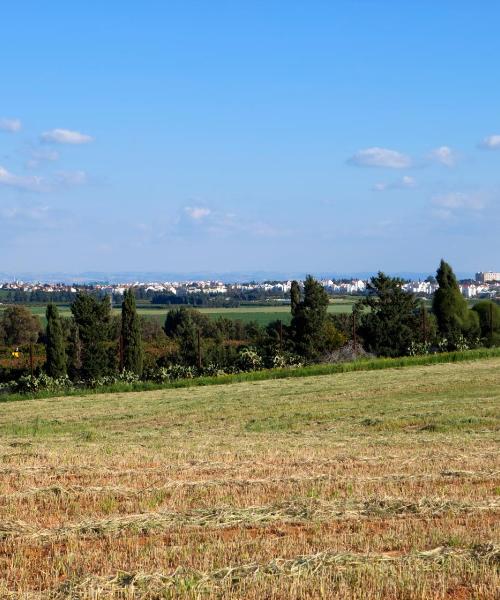 A beautiful view of Ra‘ananna
