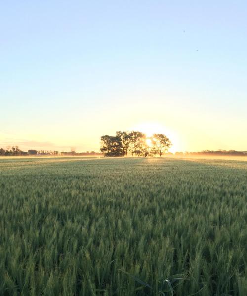 A beautiful view of Pergamino