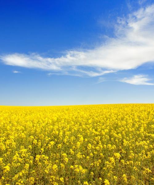 A beautiful view of Dawson Creek