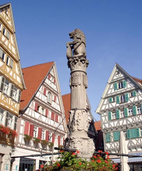Ein schöner Blick auf Herrenberg