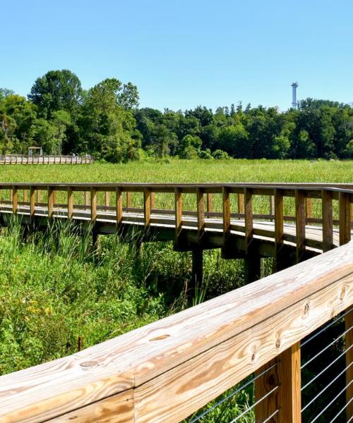A beautiful view of Woodbridge