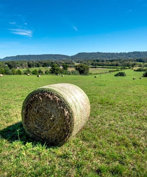 A beautiful view of Starkville