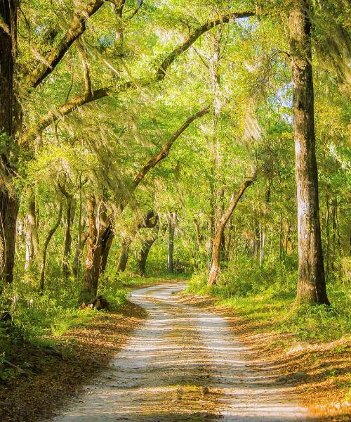 A beautiful view of Walterboro