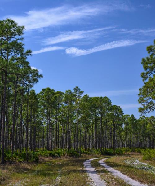 A beautiful view of Punta Gorda