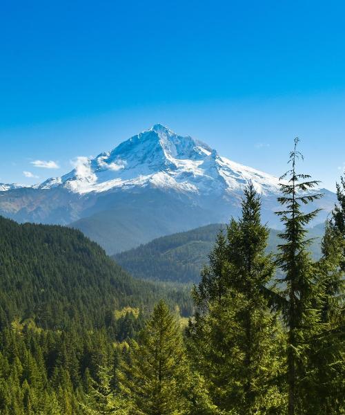 A beautiful view of Hood River