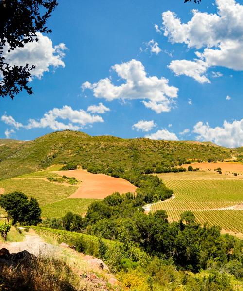 Una panoràmica bonica de Sonoma