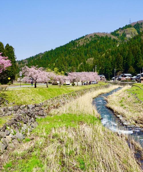 Una panoràmica bonica de Fukui