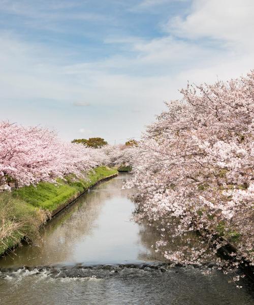 船橋市の美しい景色