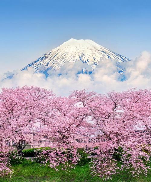 A beautiful view of Shizuoka