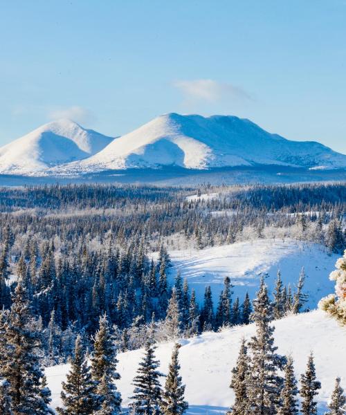 Ein schöner Blick auf Whitehorse