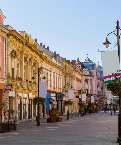 A beautiful view of Kaposvár