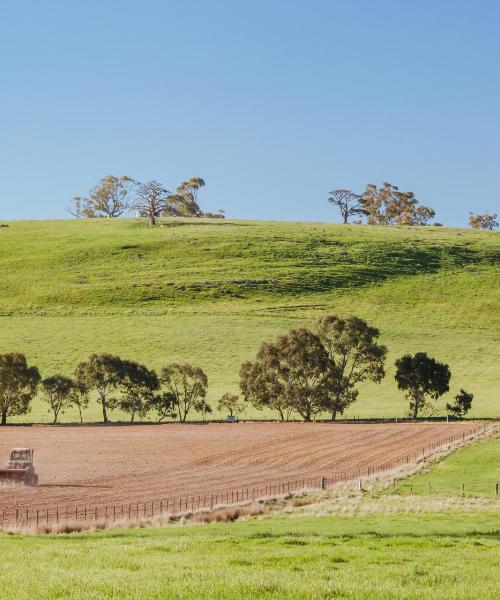 A beautiful view of Castlemaine
