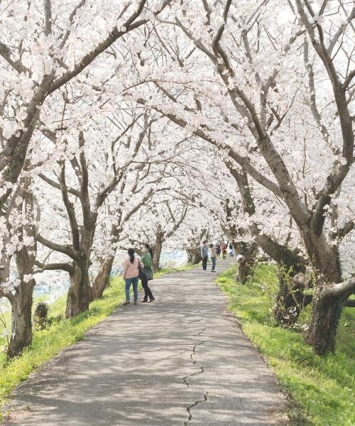 A beautiful view of Kurume