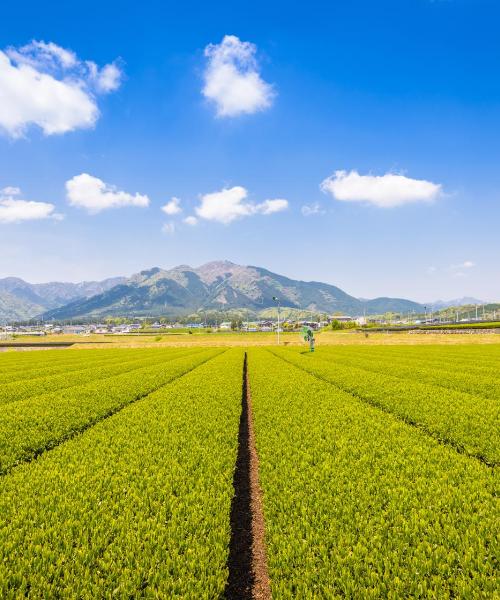 A beautiful view of Yokkaichi
