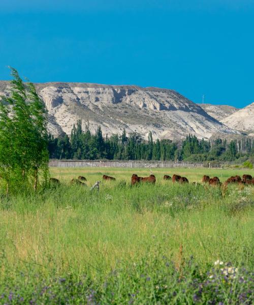 Ein schöner Blick auf Trelew