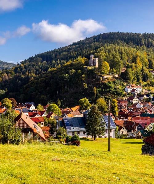 Una panoràmica bonica de Suhl