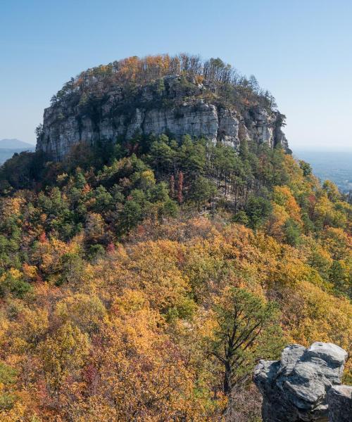 A beautiful view of Mount Airy