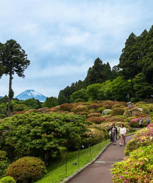 O imagine frumoasă din Hakone