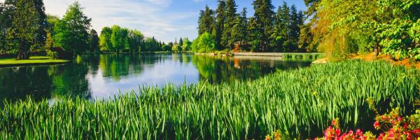 The 10 Best Saco Hotels From 75
