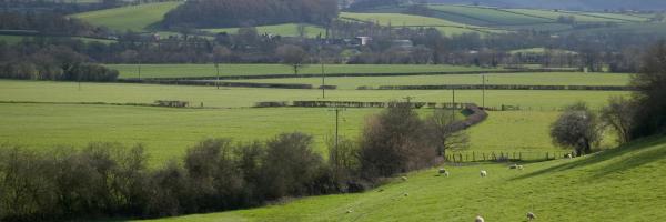 The Best Abercraf Hotels, United Kingdom (From $66)
