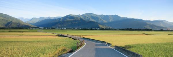 楊桃墅評價、特色體驗、房價資訊、訂房連結 – 鄉村風格靜謐民宿 - 照片 18