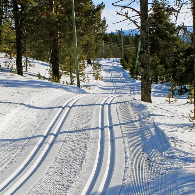 Sanderstølen