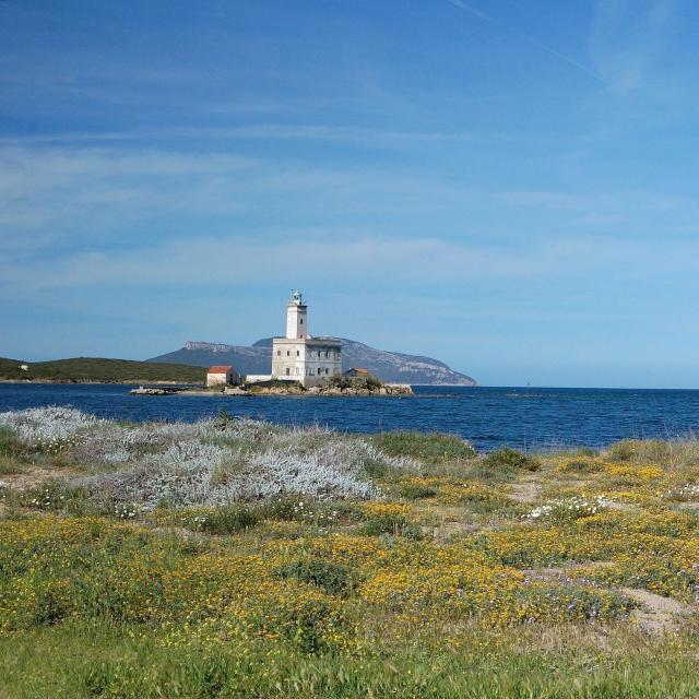 Olbia