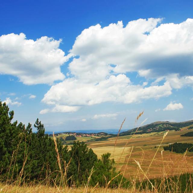 Zlatibor
