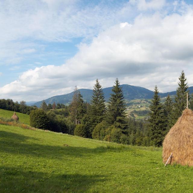 Славське