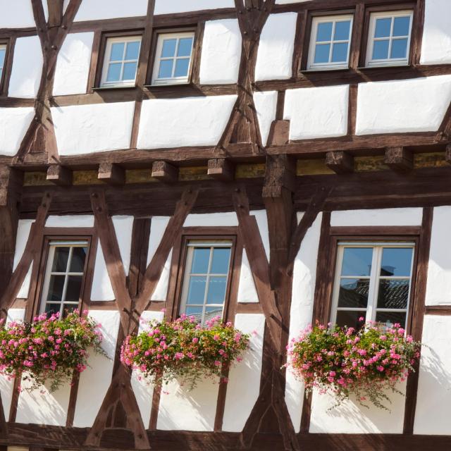 Ditzingen