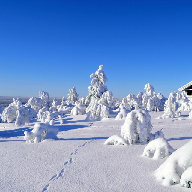 Saariselkä