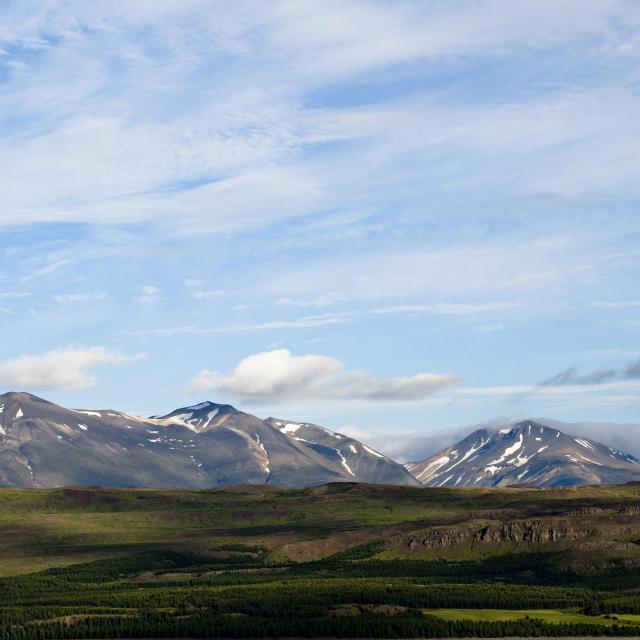 Neskaupstaður