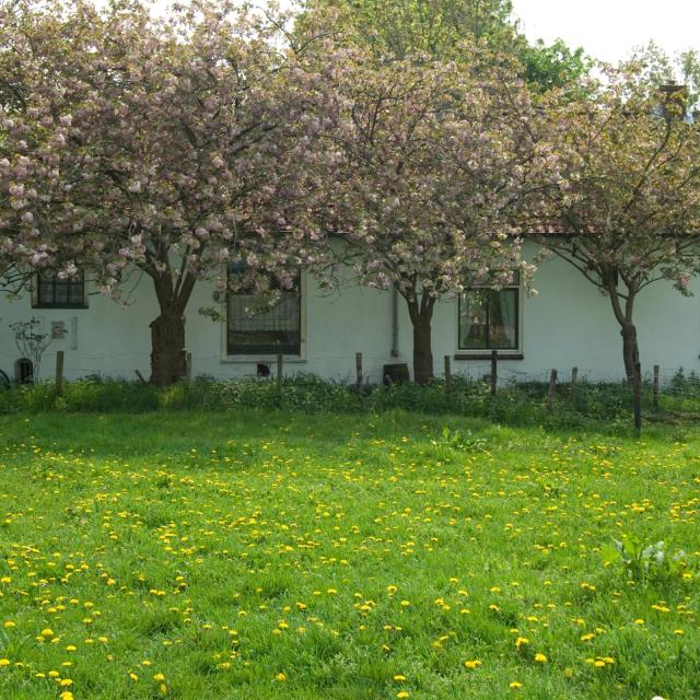 Hardenberg