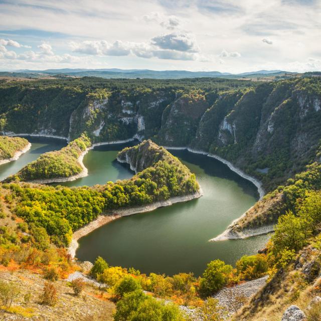 Sjenica