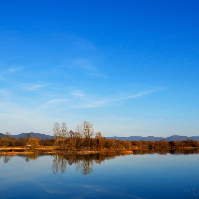 Cerknica